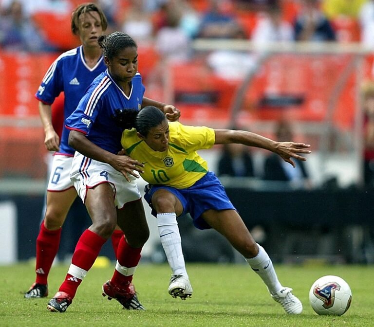 image_processing20230719-13080-1cczu7c